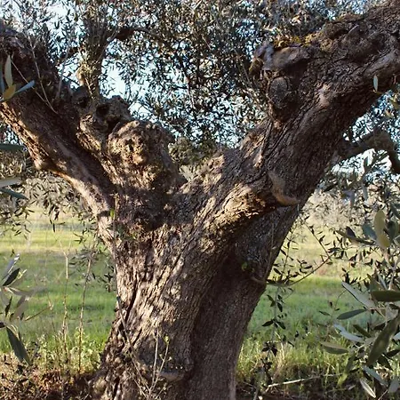 Agricampeggio La Piaggia - *