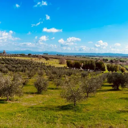 Agricampeggio La Piaggia - Piombino