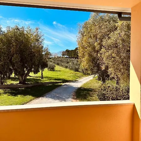 Agricampeggio La Piaggia - Vakantieboerderij Piombino