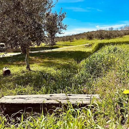 Vakantieboerderij Agricampeggio La Piaggia -