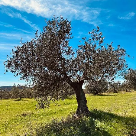 Vakantieboerderij Agricampeggio La Piaggia - *