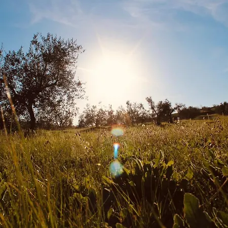 Agricampeggio La Piaggia - * Piombino