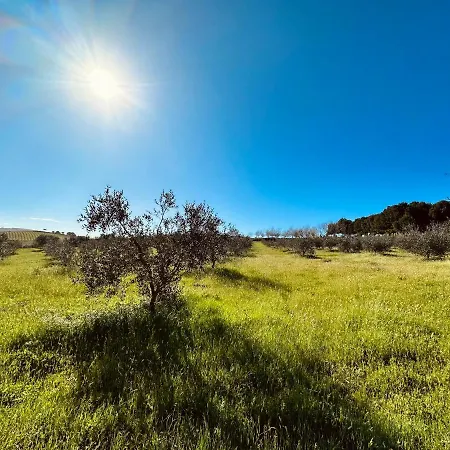 Agricampeggio La Piaggia - Piombino